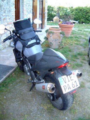 Der Saurier ist bepackt